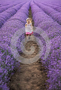 Among the lavender fields