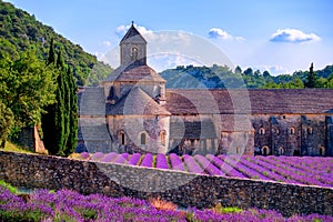 Lavender fields at Senanque monastery, Provence, France photo