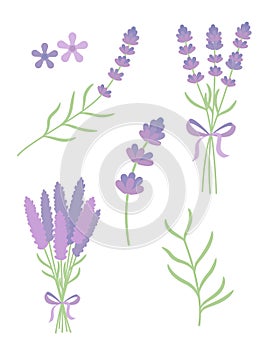 Lavender flat vector set