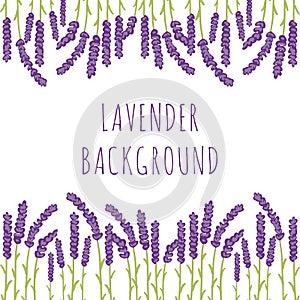 Lavender floral background