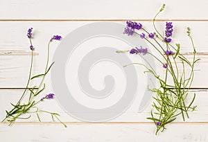 Lavender Flower Blossoms on Stems with leaves as Borders of White Paper Card on Distressed White Shiplap Board Background with roo