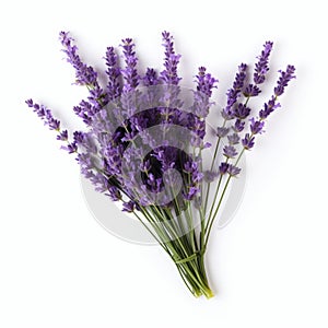 Lavender Flower Bouquet: Raynald Leclerc Inspired Minimalist Art photo