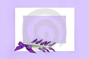 Lavender Flower Herb Floral Background Border