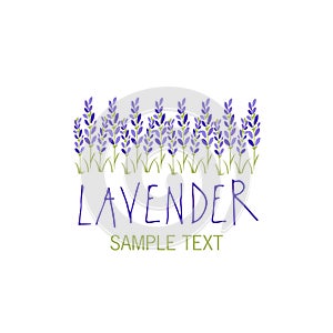 Lavender flower. Logo design. Text hand drawn.