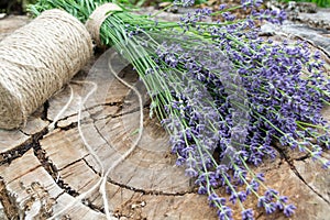 Lavender flower on old wooden stump