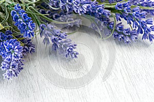 Lavanda flores 