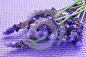 Lavender flowers