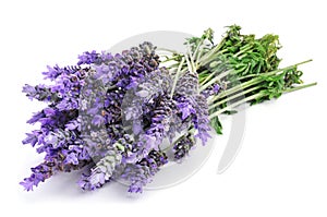 Lavanda flores 