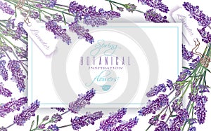 Lavender flowers banner