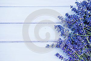 Lavender flowers on the blue wood background