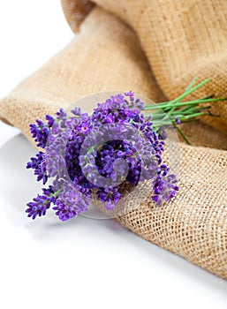 Lavender flowers on the burlap