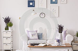 Lavender flowers on cabinet next to lamp and white sofa in living room interior with table and posters. Real photo