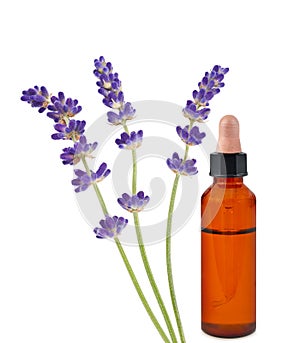 Lavender flowers with essential oil bottle