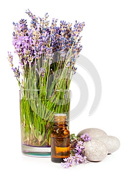 Lavanda flores a básico aceite 