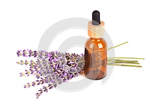 Lavender flowers with glass bottle for essential oil, isolated on white background. Medicinal herbs and oils.