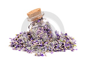 Lavender flowers in a glass jar, isolated on white background. Petals of lavender flowers. Medicinal herbs