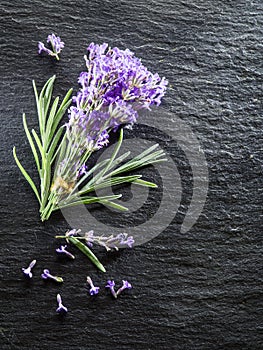 Lavender flowers on graphite board.