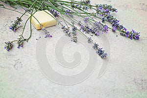 Lavender flowers and natural soap for bodycare on concrete background.