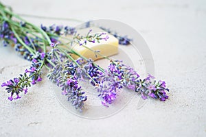 Lavender flowers and natural soap for bodycare on concrete background