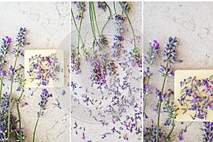 Lavender flowers and natural soap for bodycare on concrete background.