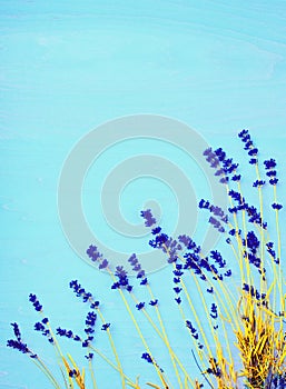 Lavender flowers processed to look surreal on teal wood background