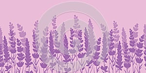 Lavender flowers purple border seamless pattern.