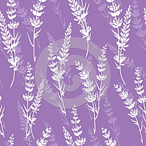 Lavender flowers purple vector seamless pattern.