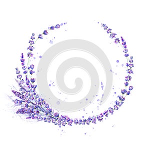 Lavender flowers purple watercolor round frame isolated on white background