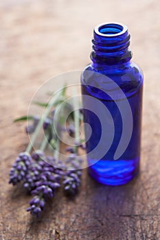 Lavender flowers and scent bottle photo