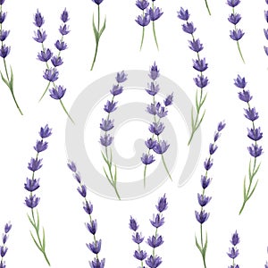 Lavender flowers seamless pattern. Watercolor illustration. Hand drawn organic lavandula medicinal herb stems with buds