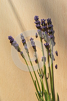 Lavender flowers and shadows on a wooden board on a sunny day