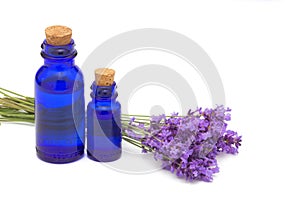 Lavender flowers and vintage bottle