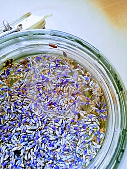 Lavender flowers in water