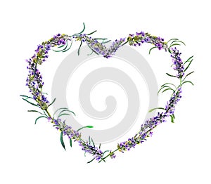 Lavender flowers. Watercolor floral heart frame