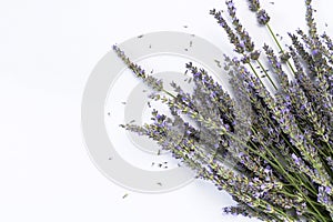 Lavender flowers on white background flat lay top view. Bouquet of lavender minimal concept. Beautiful purple flowers, fragrant