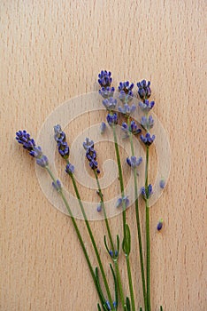 Lavender flowers on a wooden board