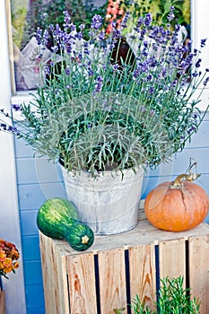 Lavender flowers in a wooden box