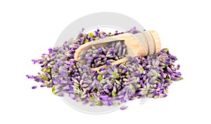 Lavender flowers on a wooden spoon, isolated on white background. Petals of lavender flowers. Medicinal herbs