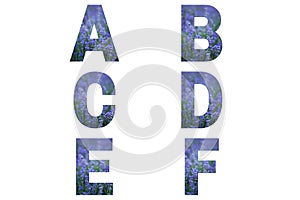 Lavender font Alphabet a, b, c, d, e, f made of lavender field.