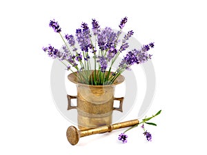 Lavender fowers in mortar photo