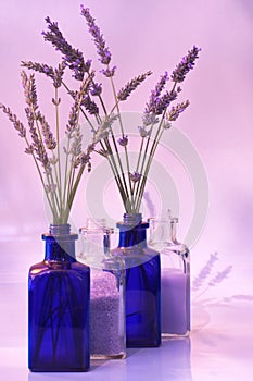 Lavender: fresh & products