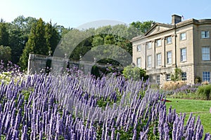 Lavender Garden at Claverton Manor American Museum