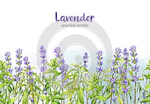 Lavender and green Verbena, field seamless border