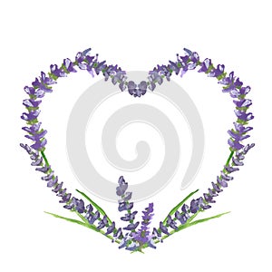 Lavender heart, wedding or valentine graphic motive, watercolor painting, illustration