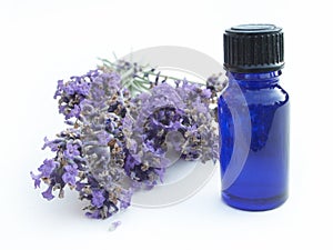 Lavender with herb