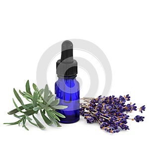 Lavender Herb Essence