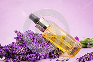 lavender herb and essential aromatherapy oil