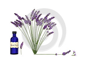 Lavender Herb Flower Aromatherapy Essential Oil Floral Design