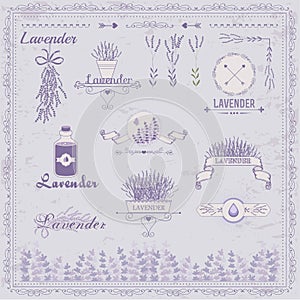 Lavender, herb, flower, floral vintage,