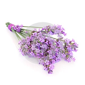 Lavender Herb Flower Posy